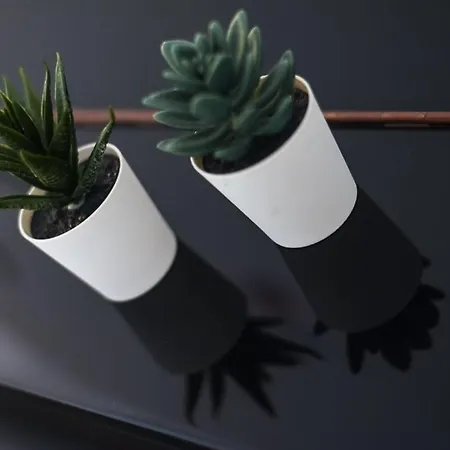 Dock Hostel